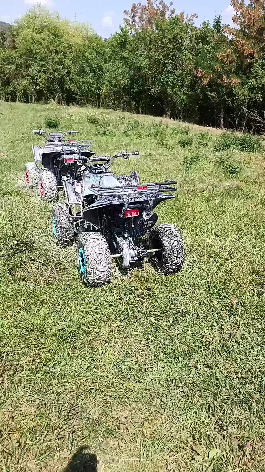 Două ATV-uri pe o pajiște verde, la marginea pădurii