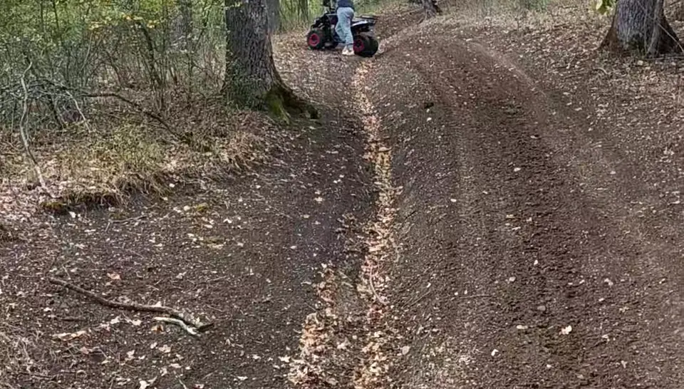 Grup de ATV-uri pe un drum de pământ prin pădure, lângă Cisnădie